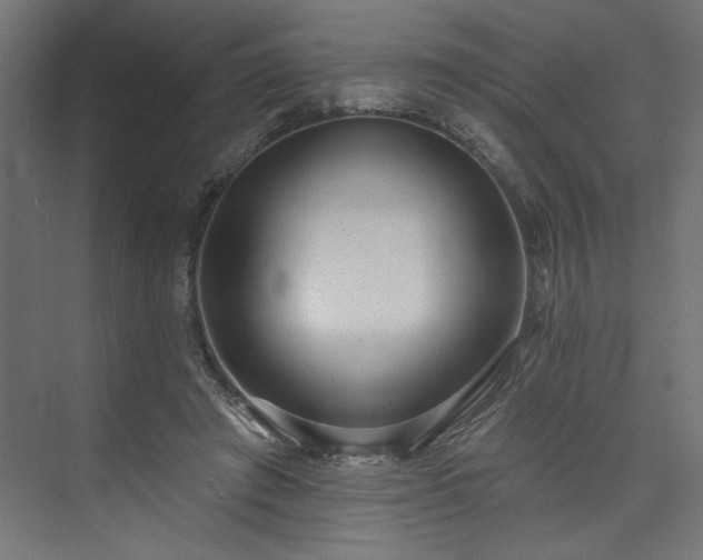 X0000073830401200608170946