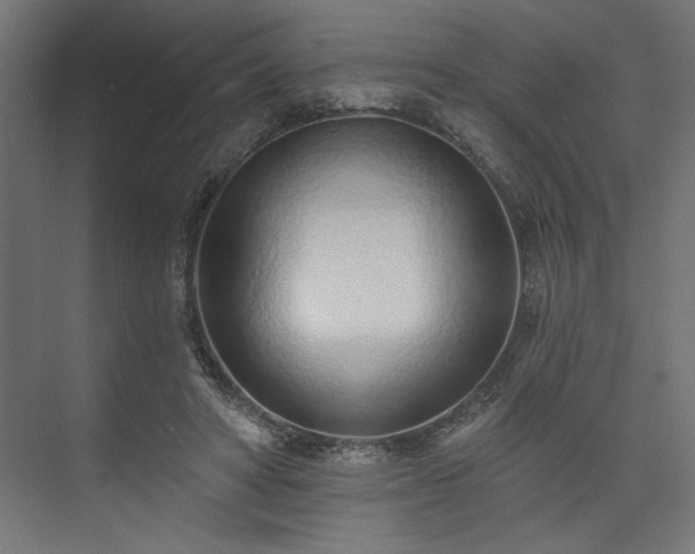 X0000073830402200608170946