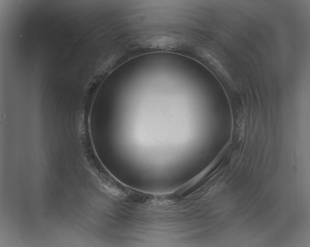 X0000073830403200608170946