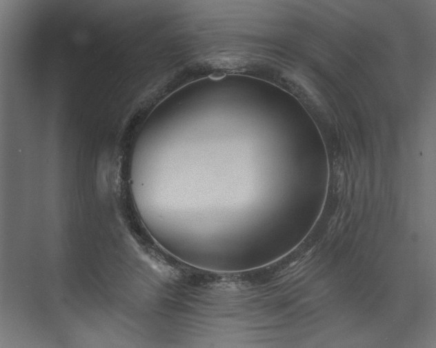 X0000073830404200608170946