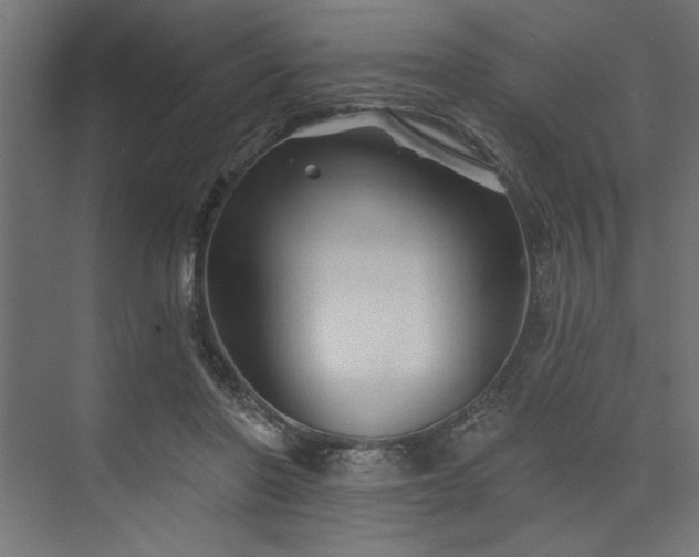 X0000073830406200608170946