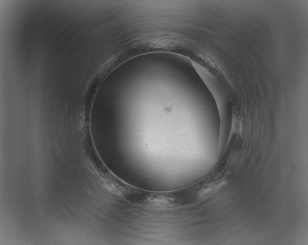 X0000073830407200608170946