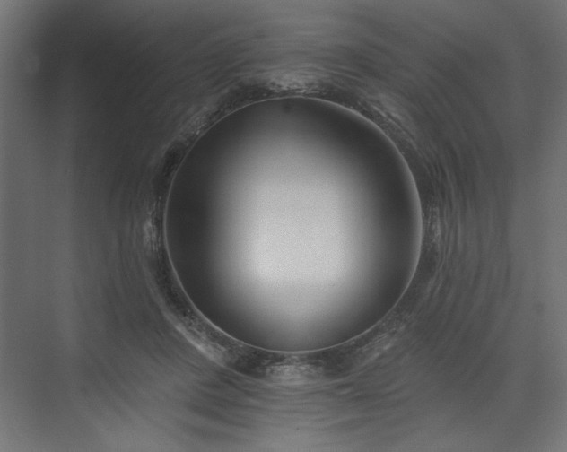 X0000073830408200608170946