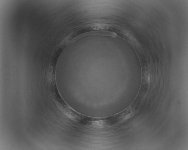 X0000073830411200608170946