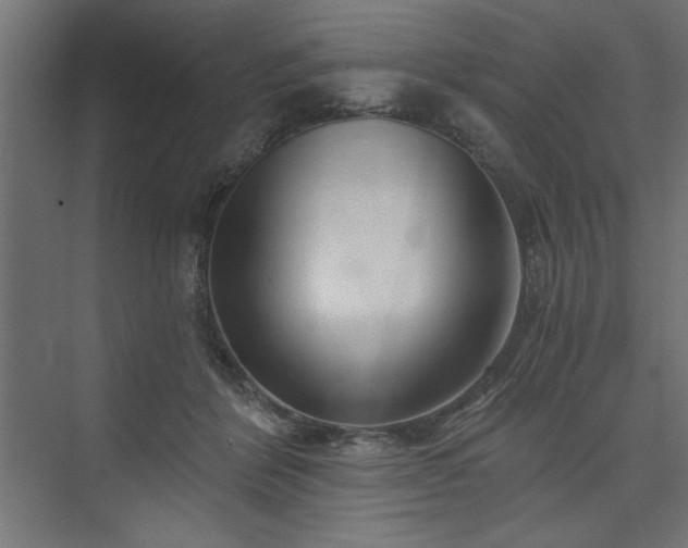 X0000073830412200608170946