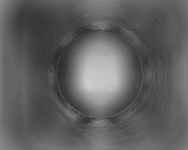 X0000073830414200608170946