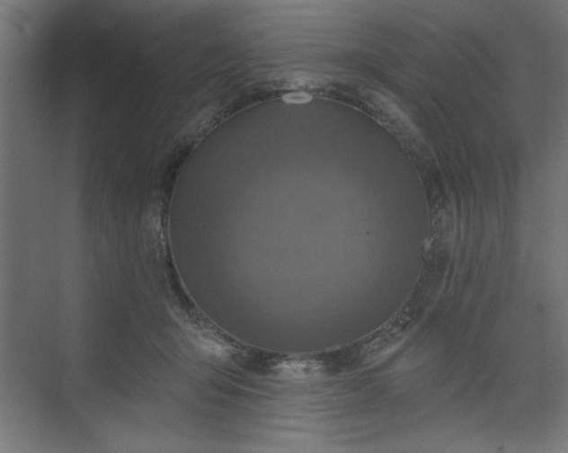 X0000073830415200608170946