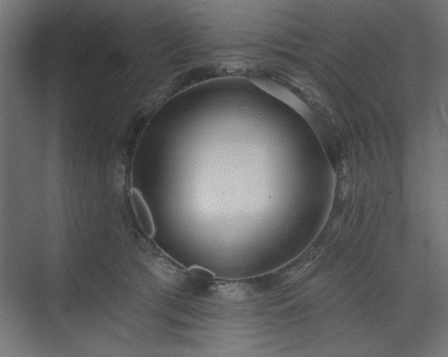 X0000073830417200608170946