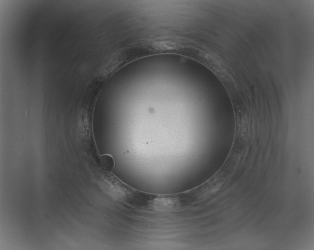 X0000073830418200608170946