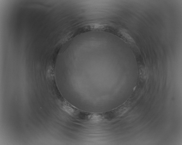 X0000073830419200608170946