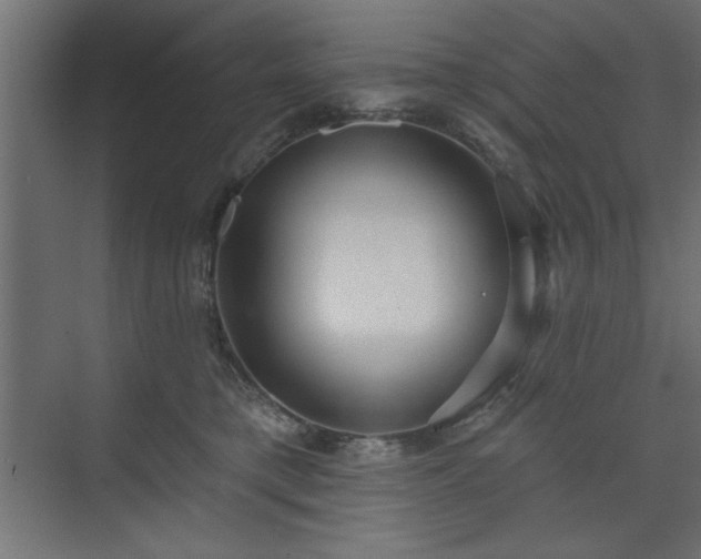 X0000073830421200608170946