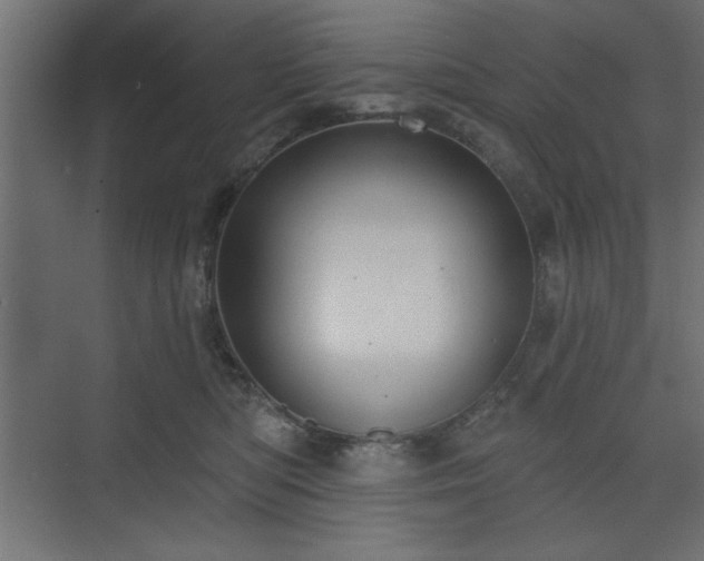 X0000073830422200608170946