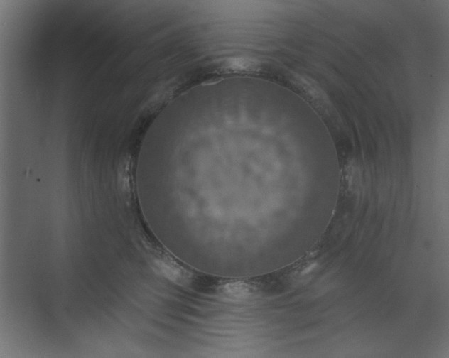 X0000073830423200608170946