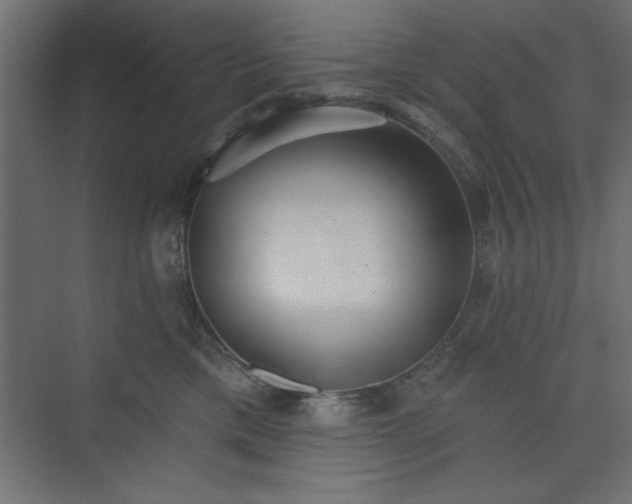 X0000073830425200608170946