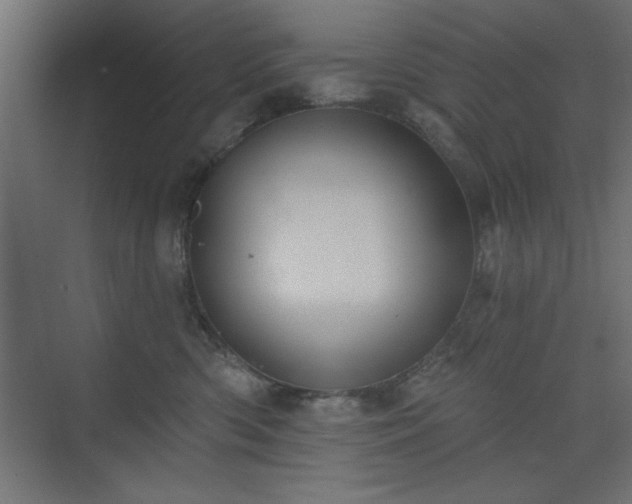 X0000073830426200608170946