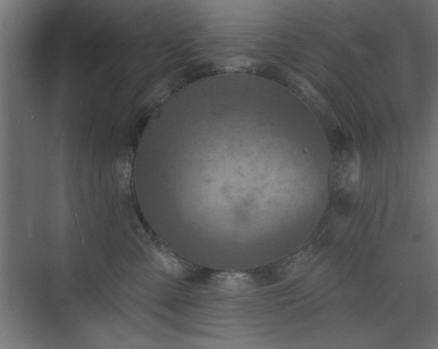 X0000073830427200608170946