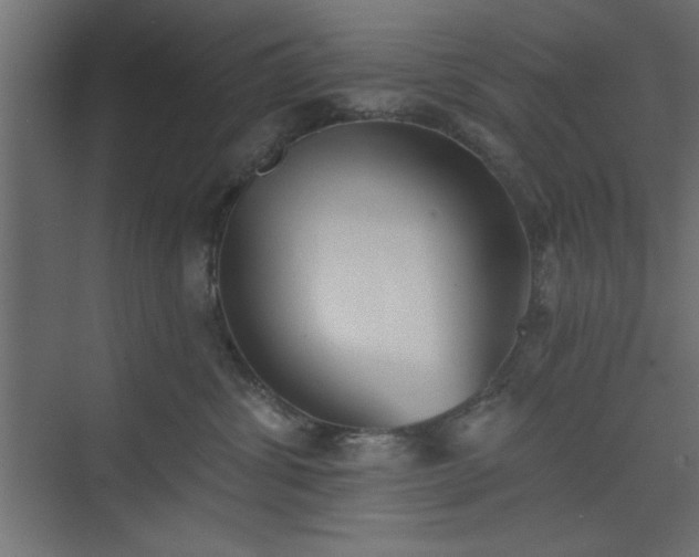 X0000073830428200608170946