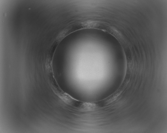 X0000073830429200608170946