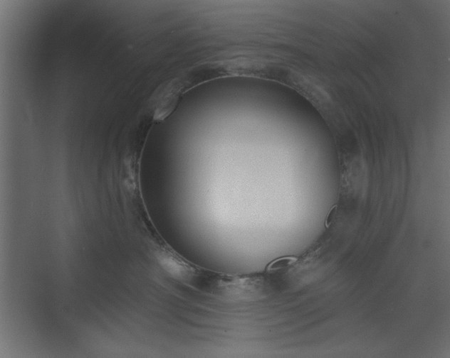 X0000073830430200608170946