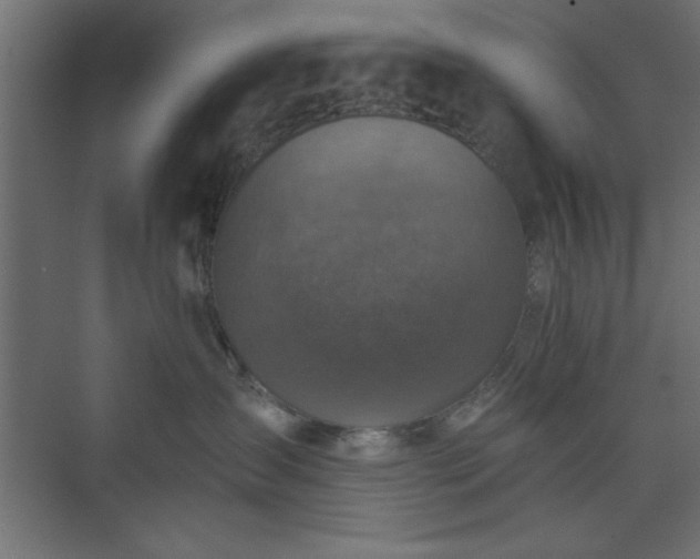 X0000073830431200608170946