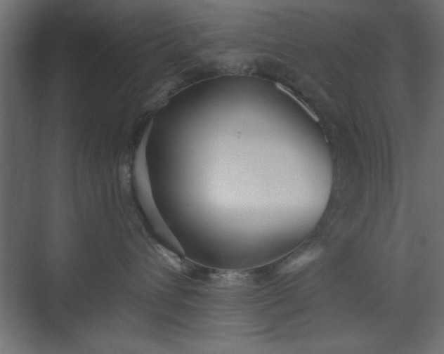 X0000073830432200608170946