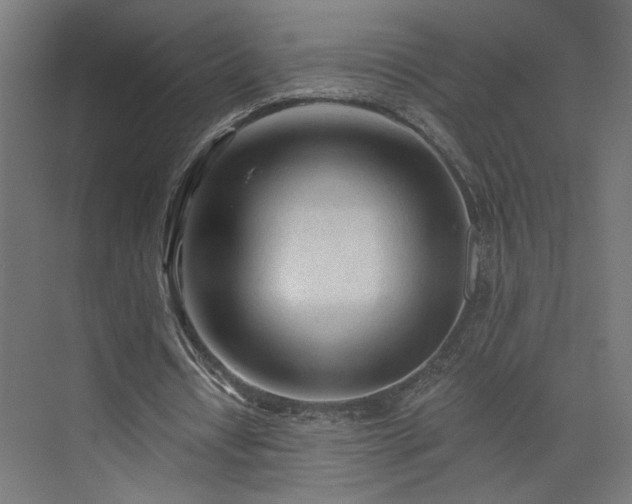 X0000073830434200608170945