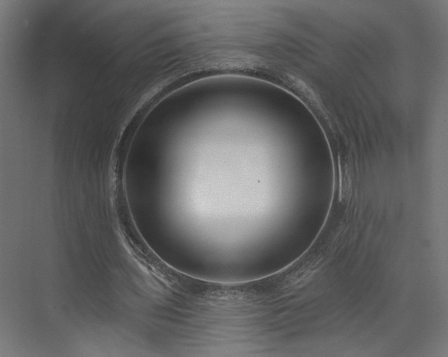 X0000073830435200608170945