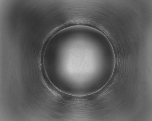 X0000073830438200608170945