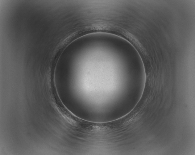 X0000073830442200608170945