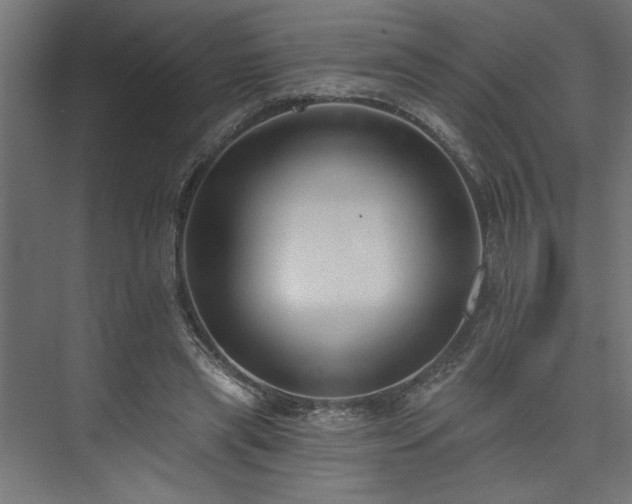 X0000073830445200608170945