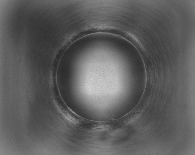 X0000073830447200608170945