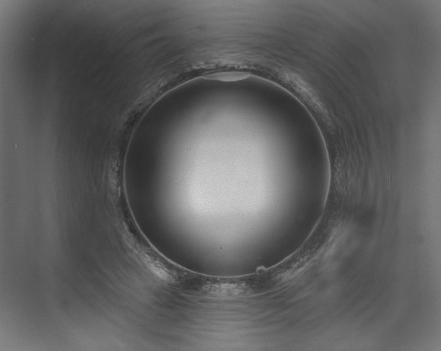 X0000073830449200608170945