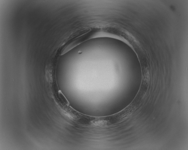 X0000073830452200608170945