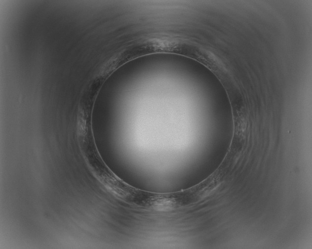 X0000073830456200608170945