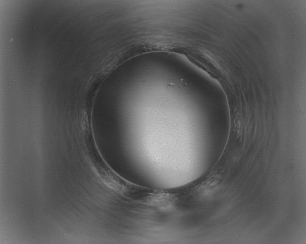 X0000073830459200608170945