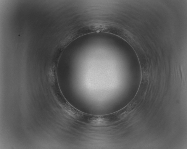 X0000073830460200608170945