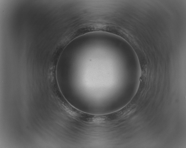 X0000073830462200608170945