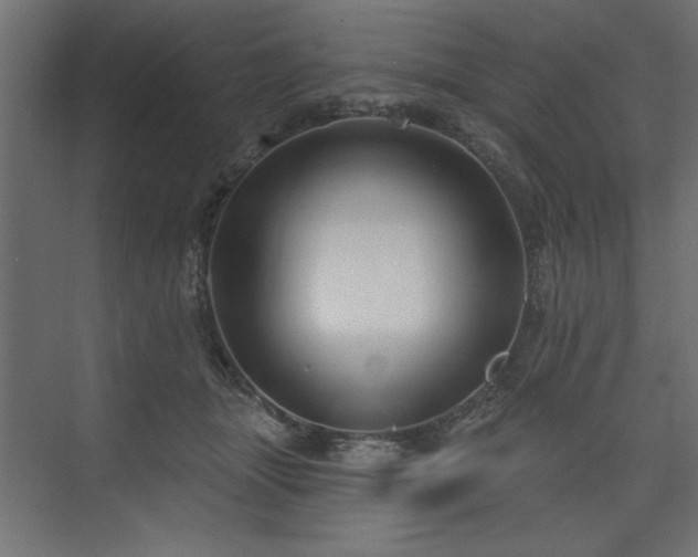 X0000073830463200608170945