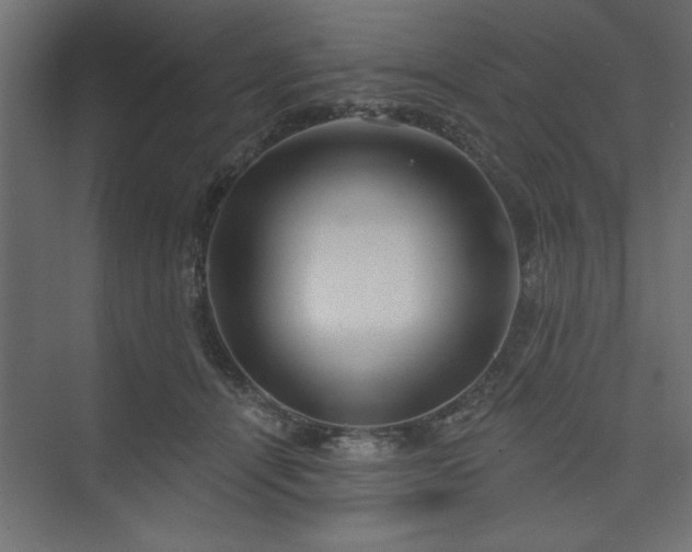 X0000073830464200608170945