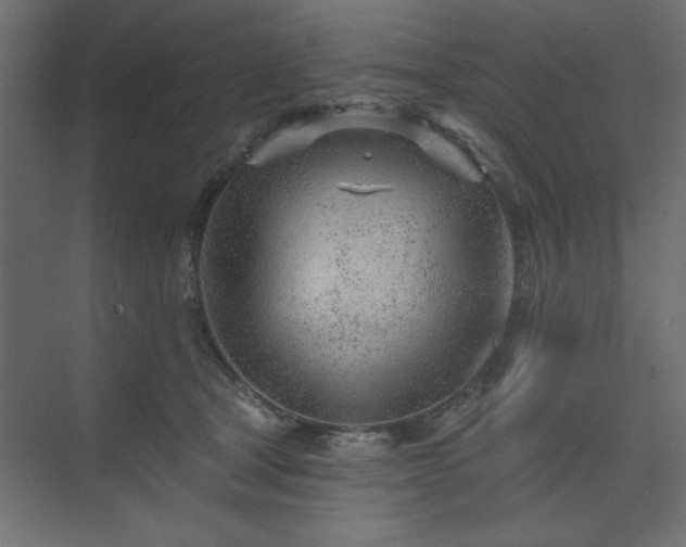 X0000073830465200608170945