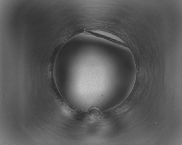 X0000073830466200608170945