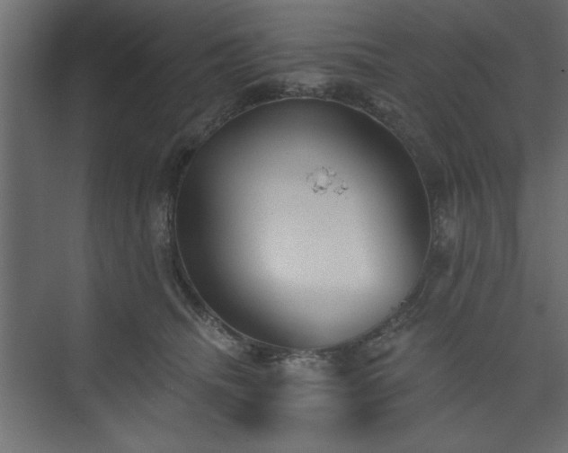 X0000073830468200608170945