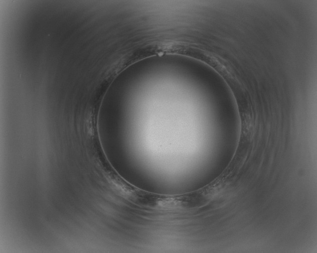 X0000073830470200608170945