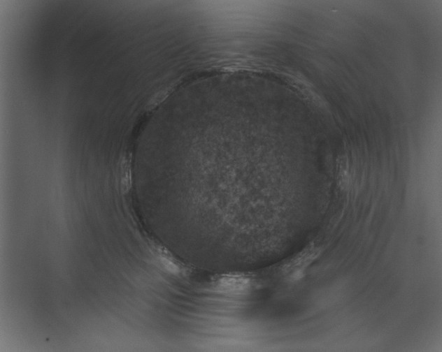 X0000073830471200608170945