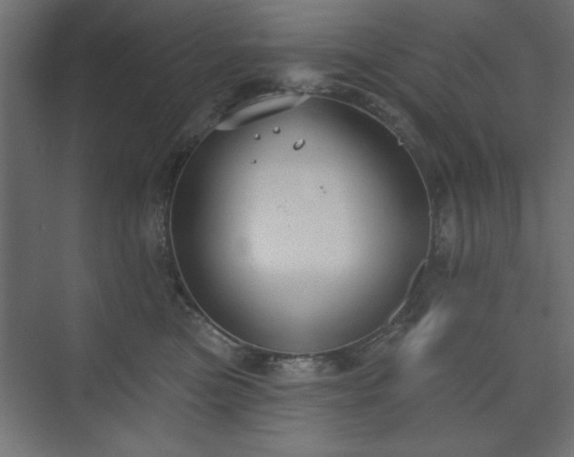 X0000073830473200608170945