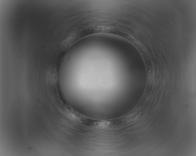 X0000073830474200608170946