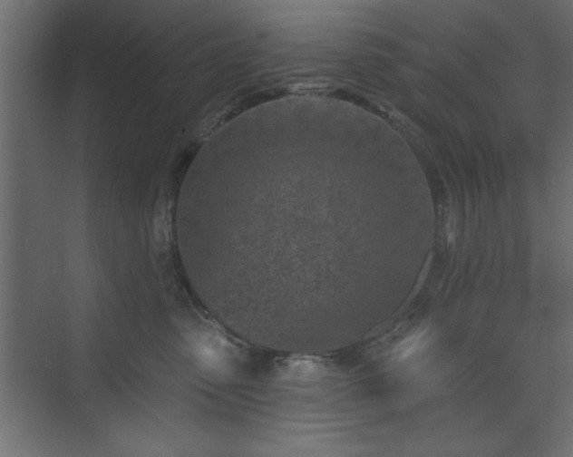 X0000073830475200608170946