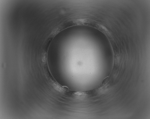 X0000073830477200608170946