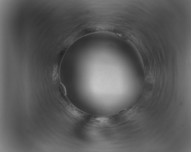 X0000073830478200608170946