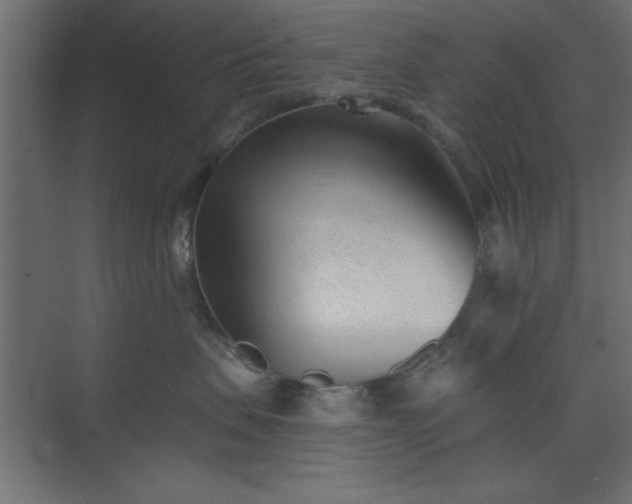 X0000073830479200608170946